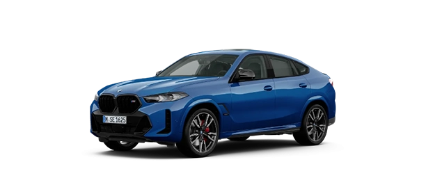 X6 icon