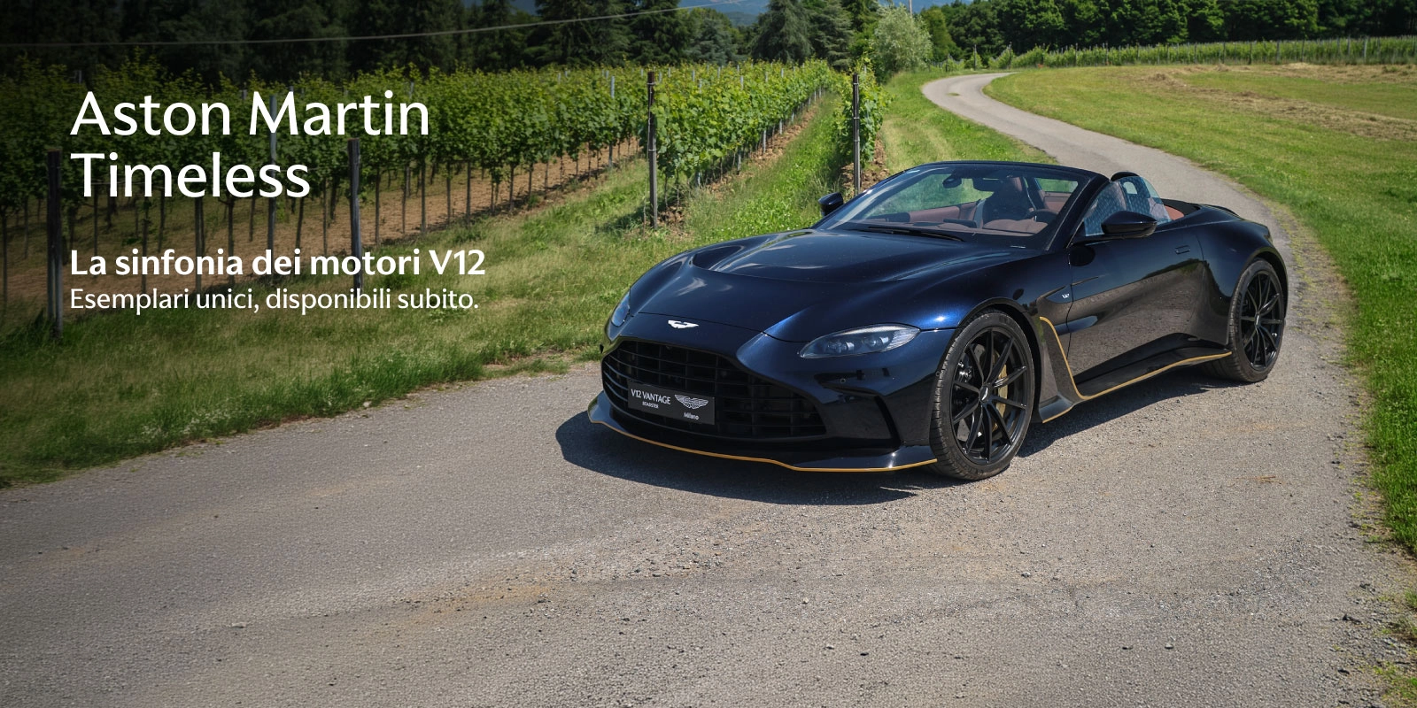 La Sinfonia dei Motori V12 Timeless