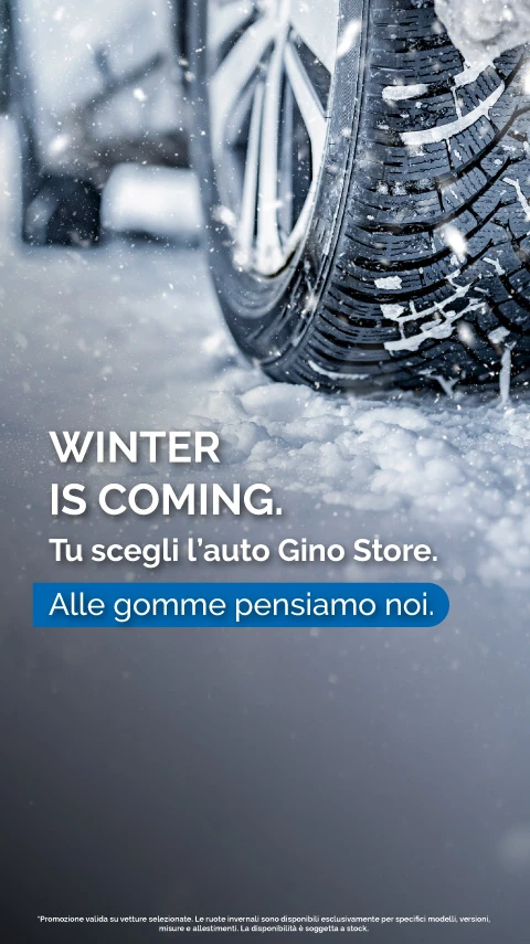 TU SCEGLI L’AUTO GINO STORE. ALLE GOMME PENSIAMO NOI.